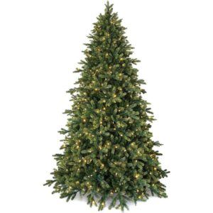 Alberi di Natale con luci